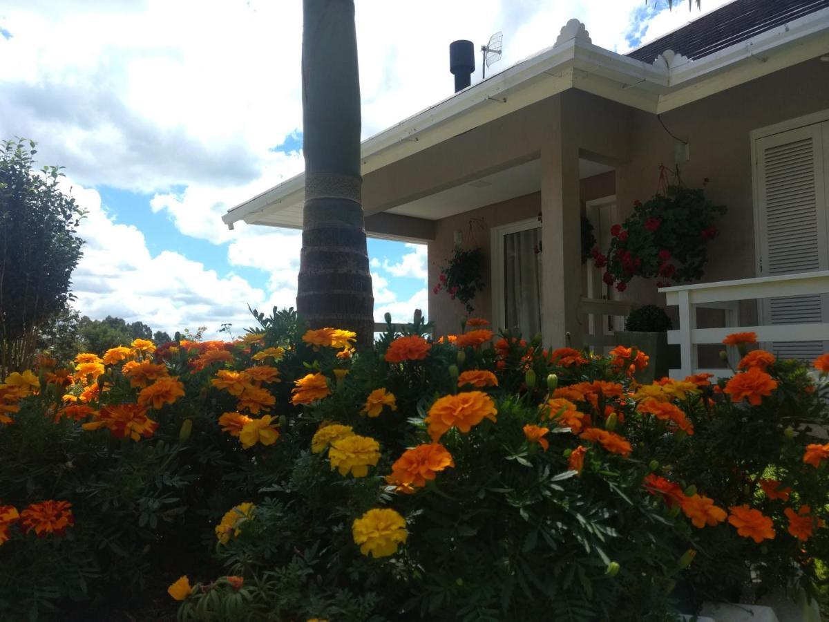 Casa Zanata Apartman Gramado Kültér fotó